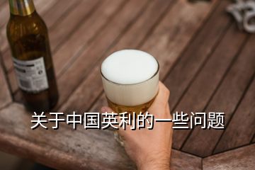 關(guān)于中國英利的一些問題