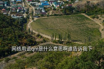 網(wǎng)絡(luò)用語(yǔ)qm是什么意思啊誰(shuí)告訴我下