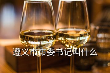 遵義市市委書(shū)記叫什么