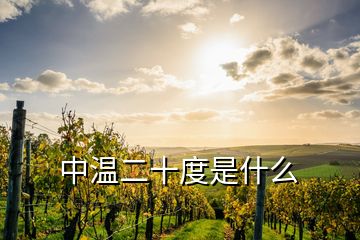 中溫二十度是什么