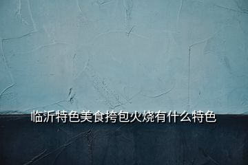 臨沂特色美食挎包火燒有什么特色