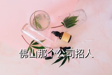佛山那個公司招人