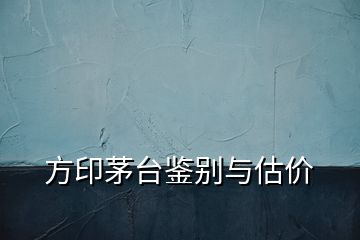 方印茅臺鑒別與估價
