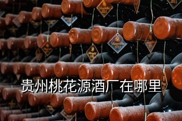 貴州桃花源酒廠在哪里