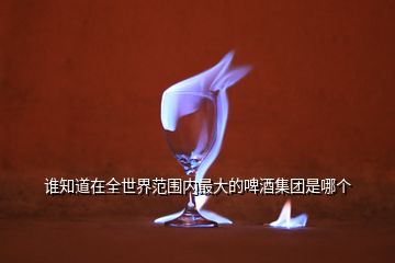 誰知道在全世界范圍內(nèi)最大的啤酒集團(tuán)是哪個(gè)