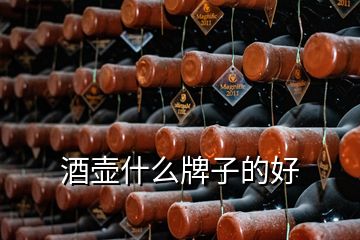 酒壺什么牌子的好
