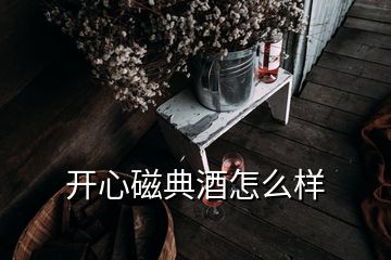 開(kāi)心磁典酒怎么樣