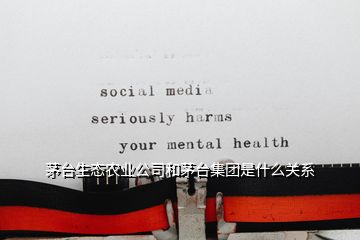 茅臺生態(tài)農(nóng)業(yè)公司和茅臺集團是什么關系