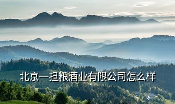 北京一擔糧酒業(yè)有限公司怎么樣