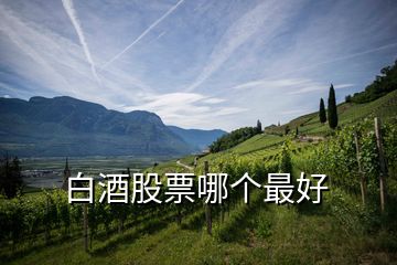 白酒股票哪個最好