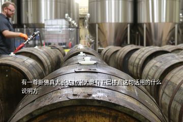有一尊臥佛真大長(zhǎng)達(dá)16米大慨有五層樓高這句話用的什么說(shuō)明方