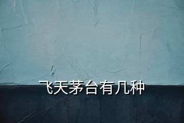 飛天茅臺有幾種