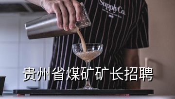 貴州省煤礦礦長招聘