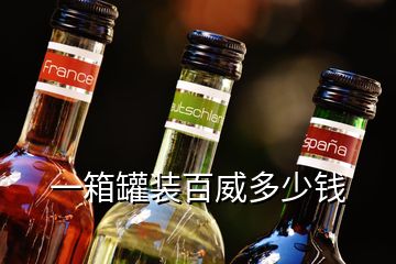 一箱罐裝百威多少錢(qián)