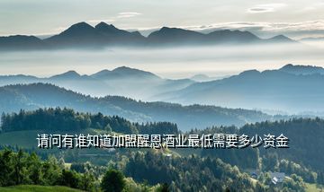 請問有誰知道加盟醒恩酒業(yè)最低需要多少資金