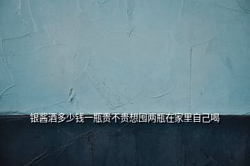 銀醬酒多少錢(qián)一瓶貴不貴想囤兩瓶在家里自己喝