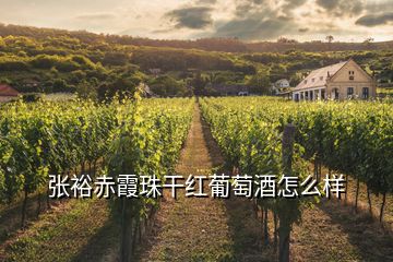 張裕赤霞珠干紅葡萄酒怎么樣
