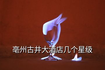 亳州古井大酒店幾個星級