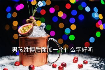 男孩姓博后面加一個(gè)什么字好聽