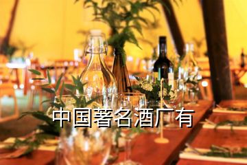 中國著名酒廠有