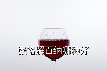 張裕解百納哪種好