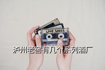瀘州老窖有幾個(gè)系列酒廠