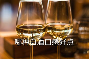 哪種白酒口感好點