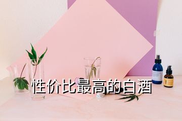 性價(jià)比最高的白酒
