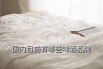 國內目前有哪些啤酒品牌