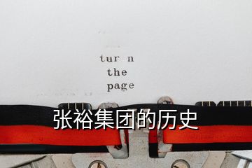 張?jiān)＜瘓F(tuán)的歷史