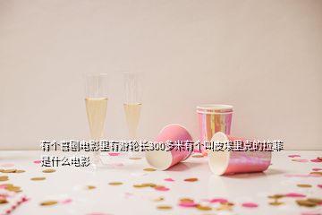 有個(gè)喜劇電影里有游輪長300多米有個(gè)叫皮埃里克的拉菲是什么電影