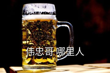 偉忠哥 哪里人