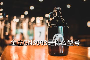 金立GN8003是什么型號
