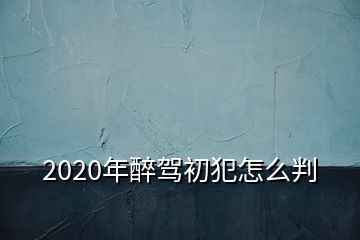 2020年醉駕初犯怎么判