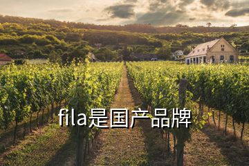 fila是國(guó)產(chǎn)品牌