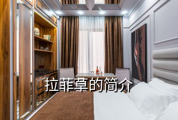 拉菲草的簡(jiǎn)介