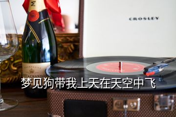 夢(mèng)見(jiàn)狗帶我上天在天空中飛