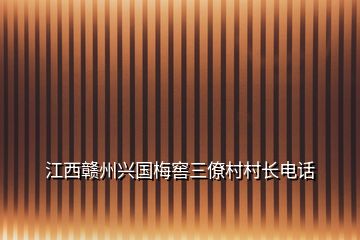 江西贛州興國(guó)梅窖三僚村村長(zhǎng)電話