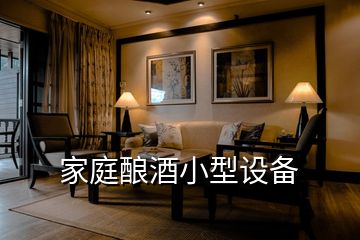 家庭釀酒小型設備