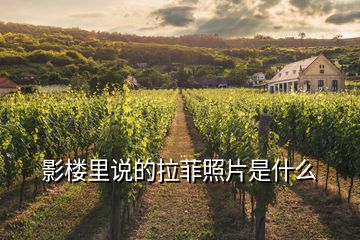 影樓里說的拉菲照片是什么