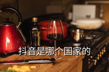 抖音是哪個(gè)國家的