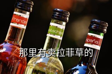 那里有賣(mài)拉菲草的