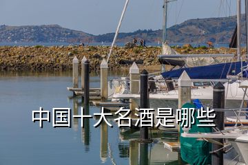 中國(guó)十大名酒是哪些
