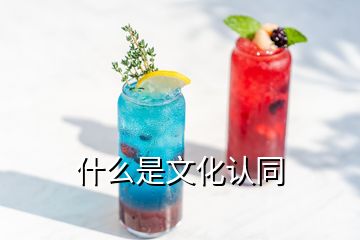 什么是文化認(rèn)同