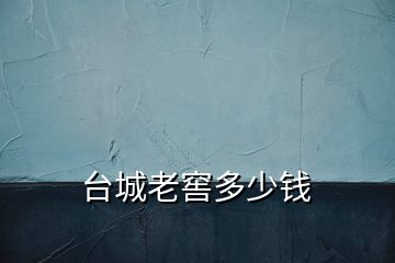 臺城老窖多少錢