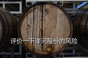 評價一下洋河股份的風險