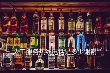 人工服務(wù)熱線(xiàn)電話(huà)是多少謝謝
