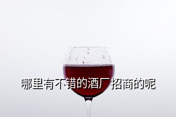 哪里有不錯的酒廠招商的呢