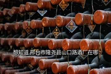 想知道 邢臺市隆堯縣山口路酒廠在哪