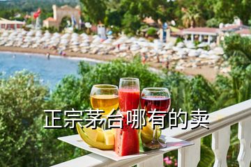正宗茅臺哪有的賣